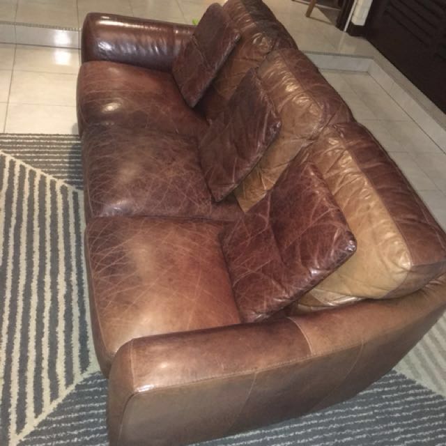 Genuine Leather 3 Seater Sofa Sofitalia Furniture Sofas On Genuine Leather 3 Seater Sofa