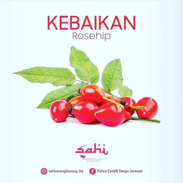 Sahi Sarang Burung Health Beauty Bath Body On Carousell