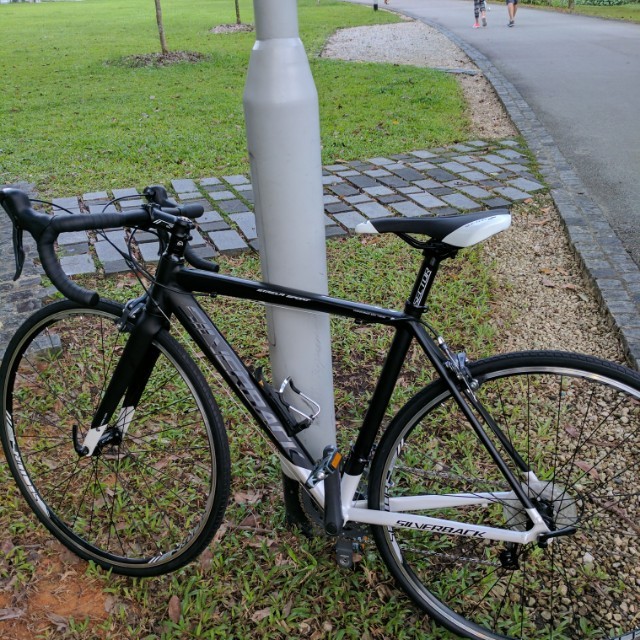 Silverback top strela review
