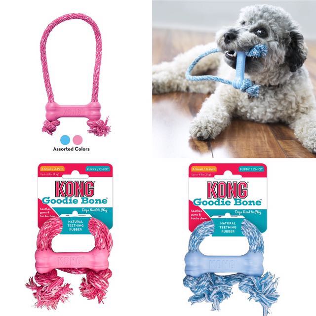 how to fill a kong toy for a puppy