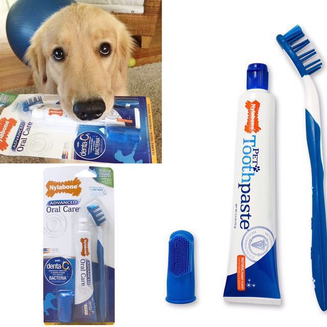 dog dental kit