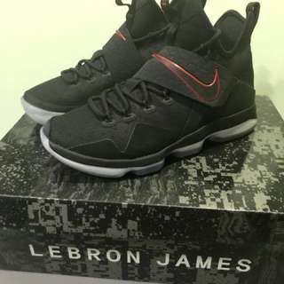 Lebron 14 Shoes  (SOLD)