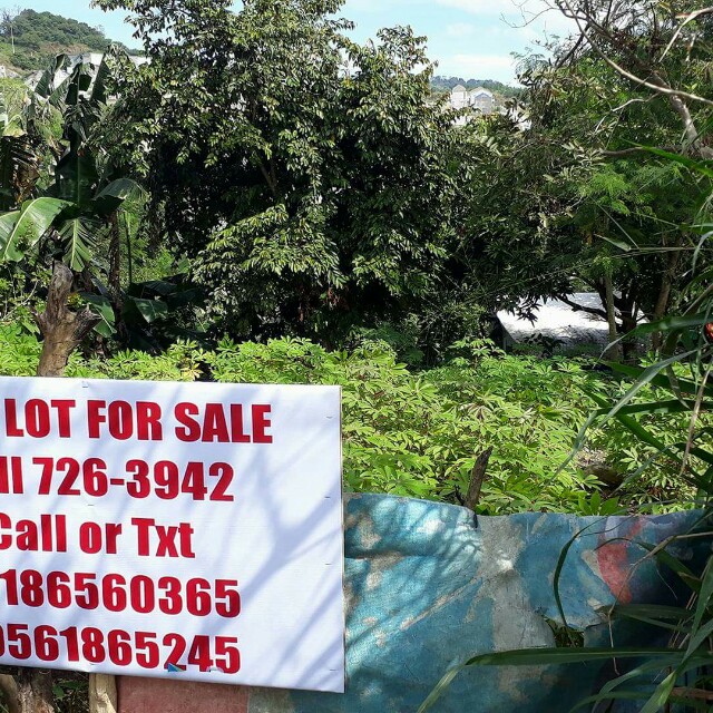 240sqm Lot(montalban, Rizal), Property, For Sale on Carousell