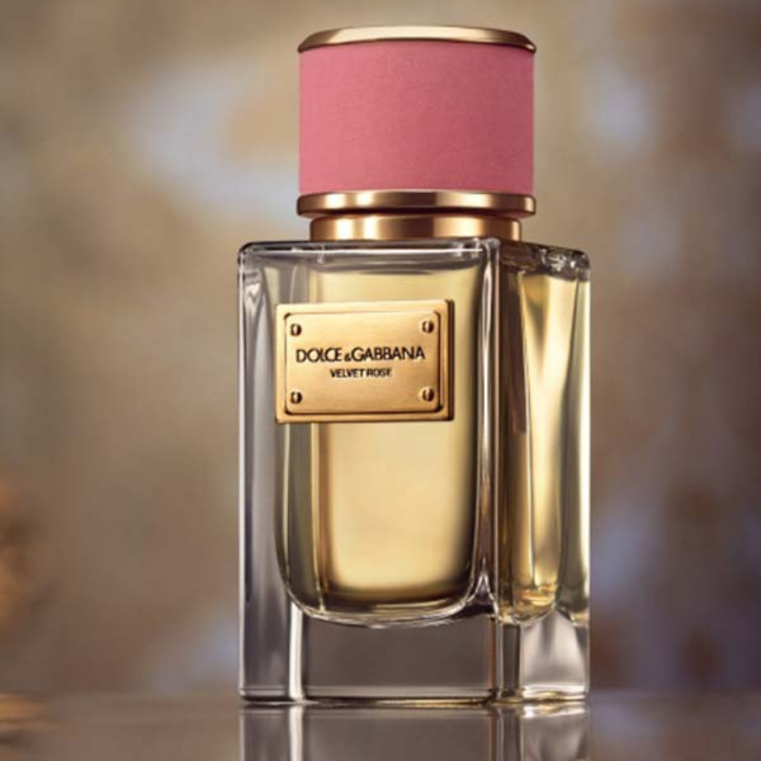 dolce gabbana velvet rose