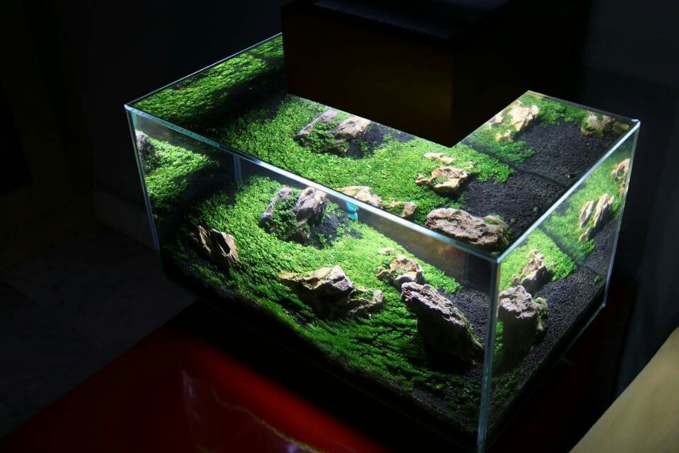 as Nano LED Aquarium, 10 – 23l