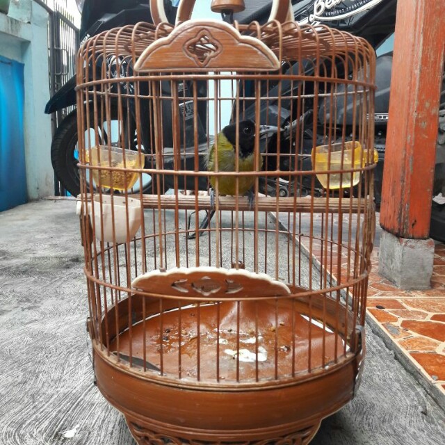 Carousell Snap To List Chat To Buy