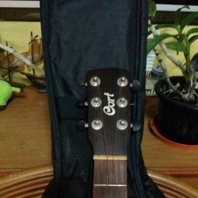 Lf tuning pegs for cort mini, Hobbies & Toys, Music & Media, Musical