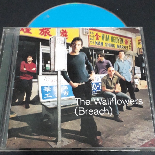 The wallflowers (beach) cd Bob Dylan son Jakob Dylan solo album., Hobbies & Toys, Music