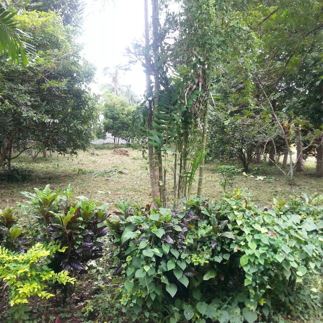 Tierra Maria Lot for Sale, Property, For Sale on Carousell