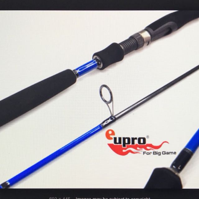 Eupro salty fighter fishing rod