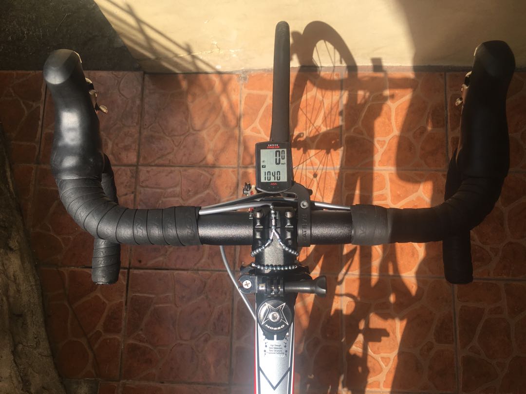 bird zero 29 frame