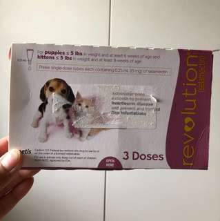 Revolution for puppies & kittens (opened)