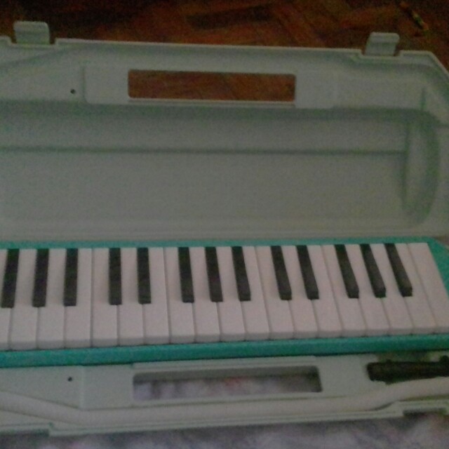Green Melodica, Hobbies & Toys, Music & Media, Musical Instruments on