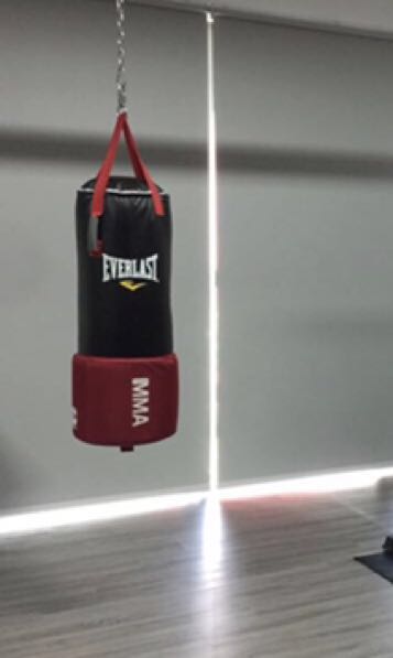 Everlast mma heavy bag clearance