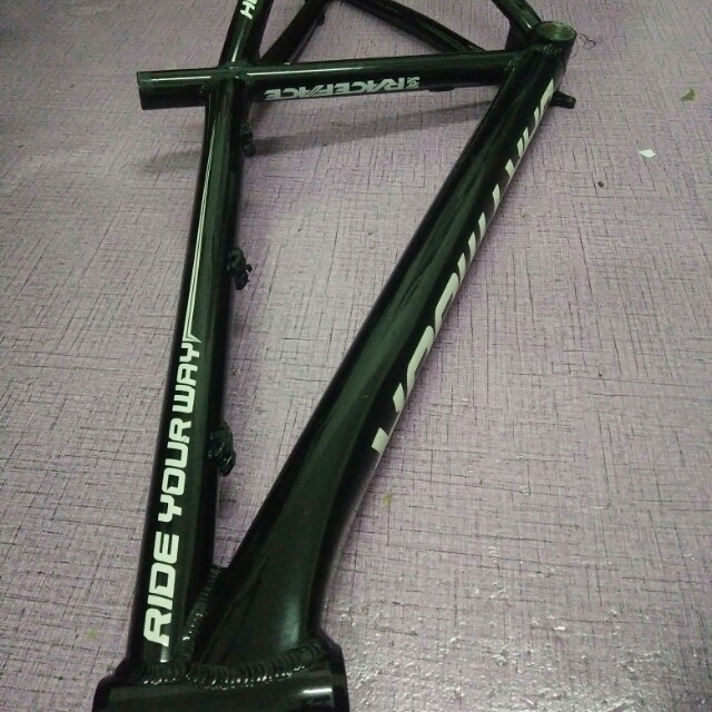 dartmoor hornet frame price