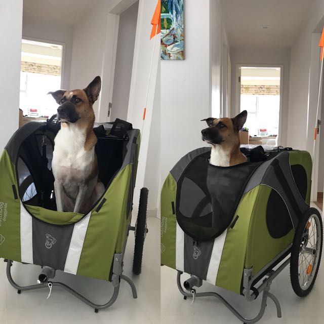 doggyride novel dog bike trailer