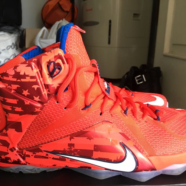 lebron james 12