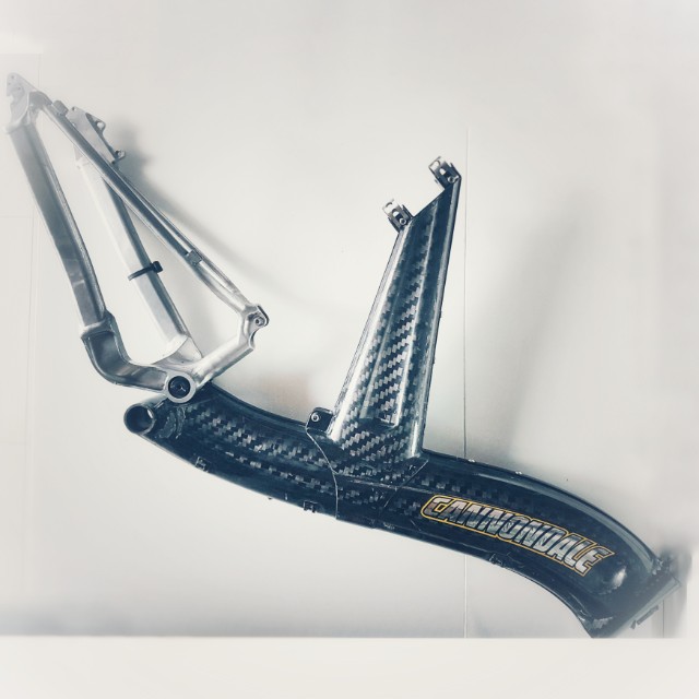 Cannondale Raven frame, Sports 