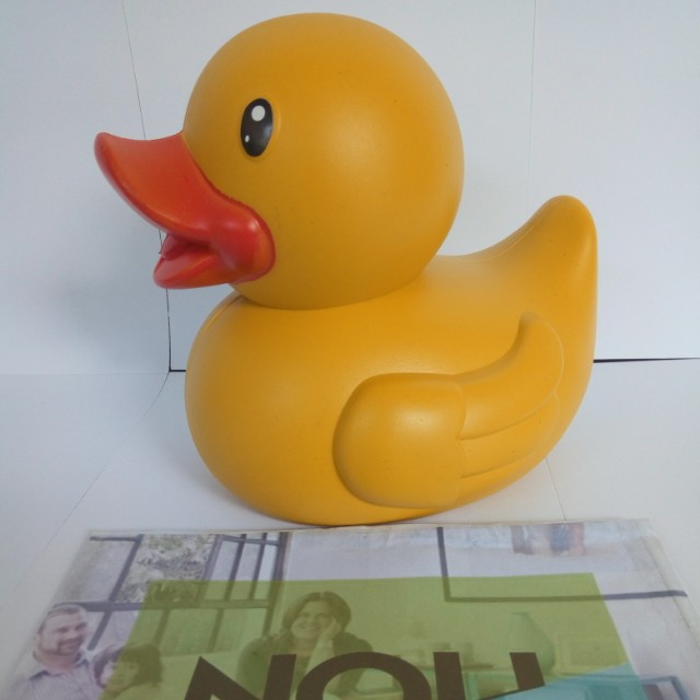 Celengan Koin Plastik Bebek Money Bank Kitchen Appliances Di Carousell