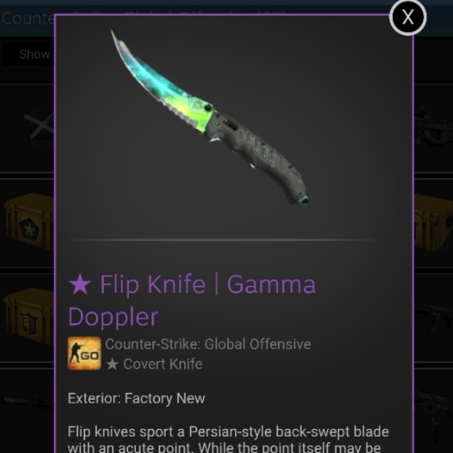 CSGO Flip Knife Gamma Doppler Phase4