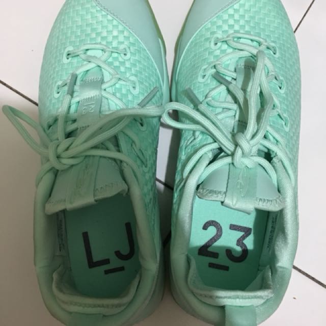 sepatu lebron 14