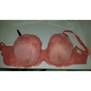 Bras N Things Bra 14E