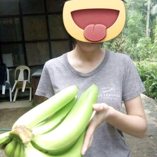 Organic bananas (Category: Fresh Produce) located in Manila. Submitted by jpsom (Listing ID 156146639, Image 2). Description: ♡Organic wild bananas for sale, guaranteed sweet aromatic and fresh produce. ♡Large sizes. Perfect for gourmet cooking or simply eating it as part of your daily diet. ♡Organically grown from the mountains in Mindanao. No pesticide used. ♡This variety can last upto 2 weeks before ripening. ♡Wholesale price per box (30kg) fo