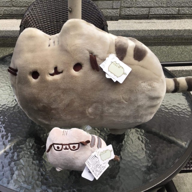 SUPER RARE Deluxe Discontinued Pusheen Floofsheen Hobbies Toys