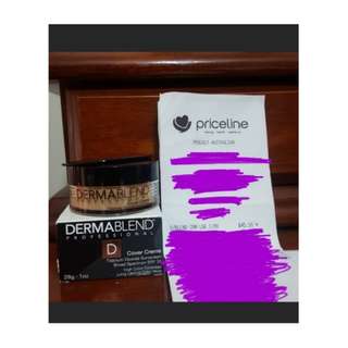 Dermablend Professional