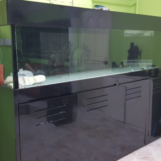 8ft fish outlet tank