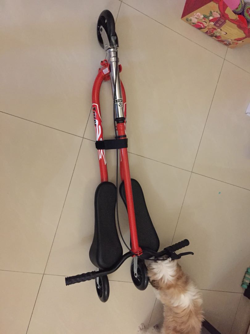 Trizer Fitness Scooter, Sports Equipment, Sports & Games, Skates