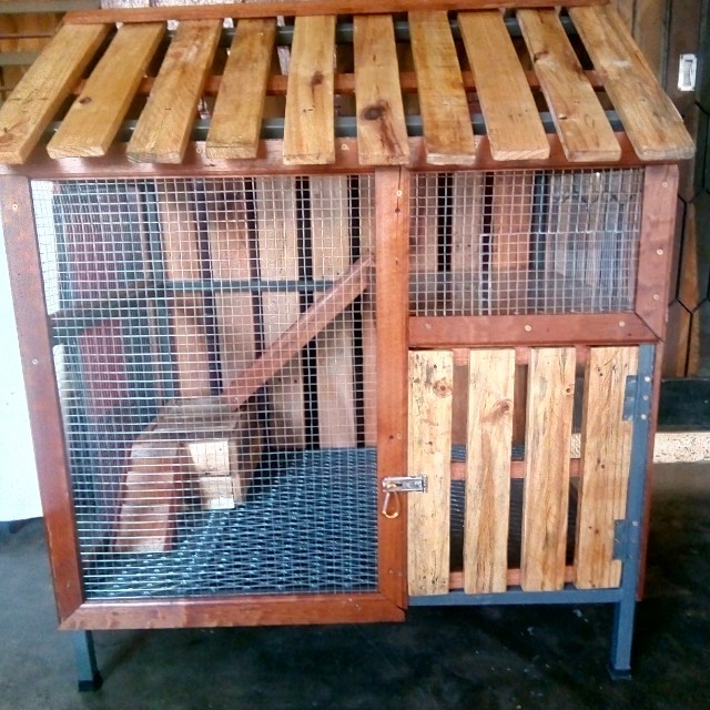 Rumah kucing, Pet Supplies, Homes & Other Pet Accessories on Carousell