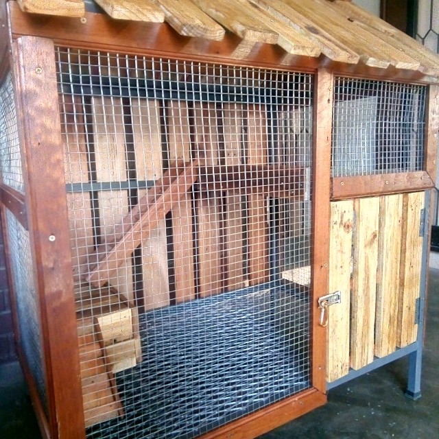 Rumah kucing, Pet Supplies, Homes & Other Pet Accessories on Carousell