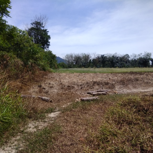 Tanah Kebun 1 3 Ekar Kota Rembau Property For Sale On Carousell