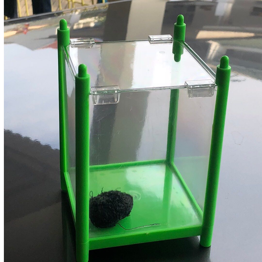 71 Aquarium Cupang Mini Terbaik
