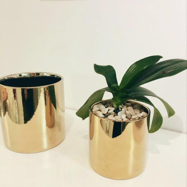 Yourstalkmarket Gold Ceramic Flower Vase Plant Pot Furniture Home Decor On Carousell