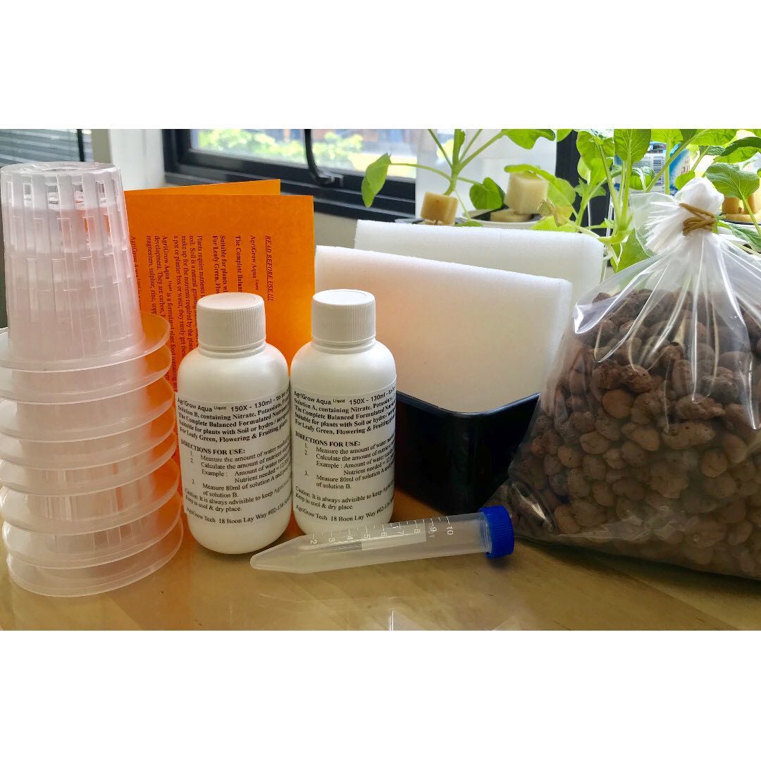 Basic Hydroponics Kratky Starter Kit Gardening On Carousell