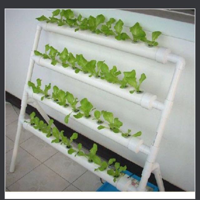 Diy Hydroponics Nft System Gardening On Carousell