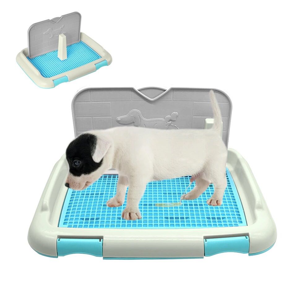 Dog potty accessories Clearance