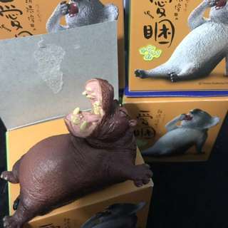 Animal Life愛睏(食玩)