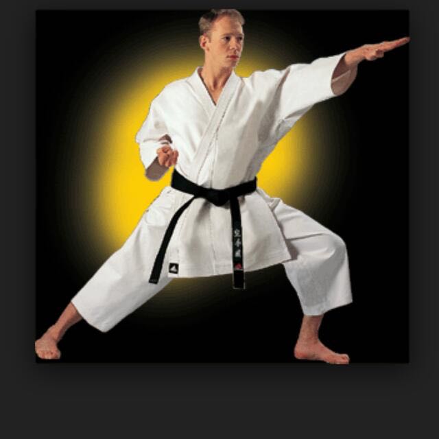 Adidas usa cheap karate elite