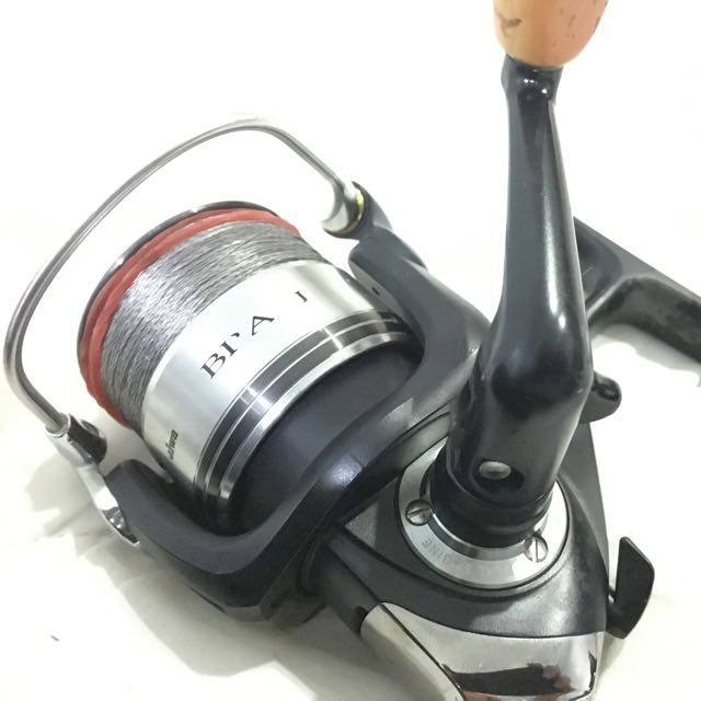 daiwa bradia