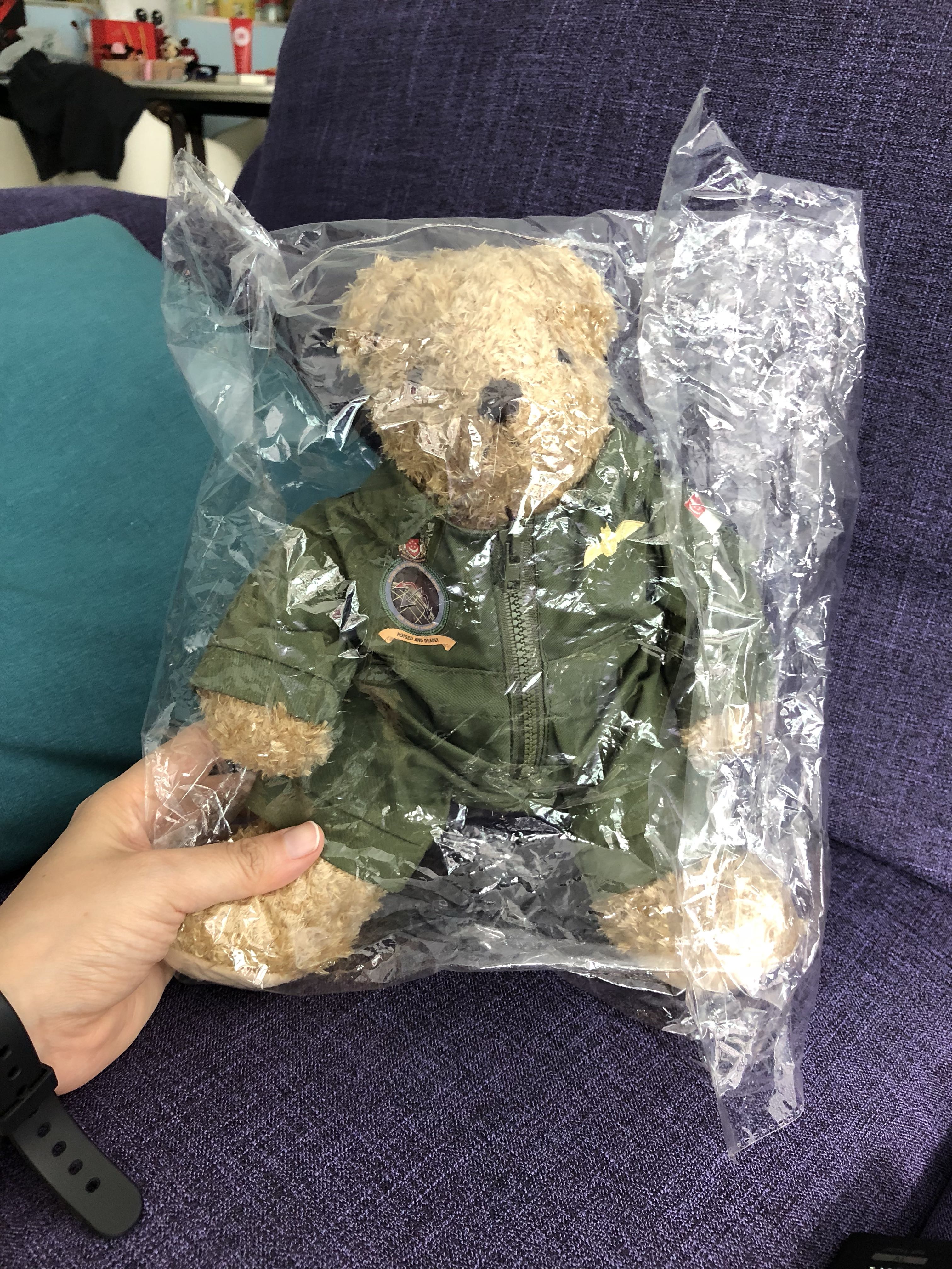 BN RSAF CPT Ted Bear, Hobbies & Toys, Toys & Games on Carousell