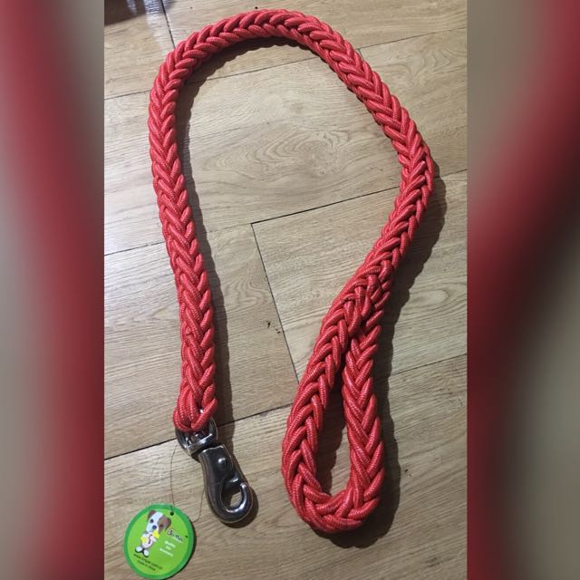 thick braided dog leash