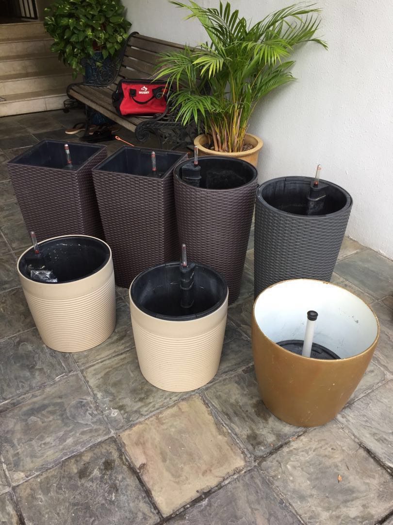 Self Watering Planters By Lechuza Gardening On Carousell