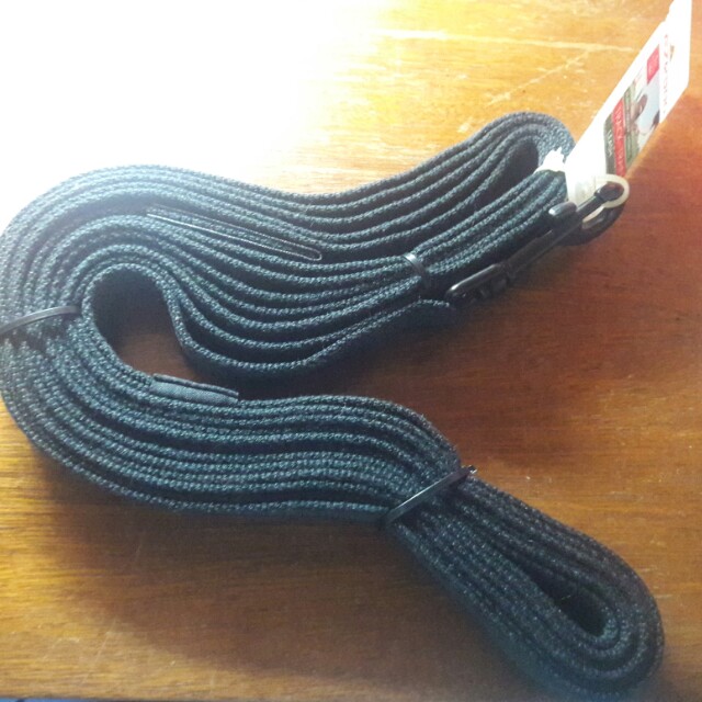 ezydog track n train