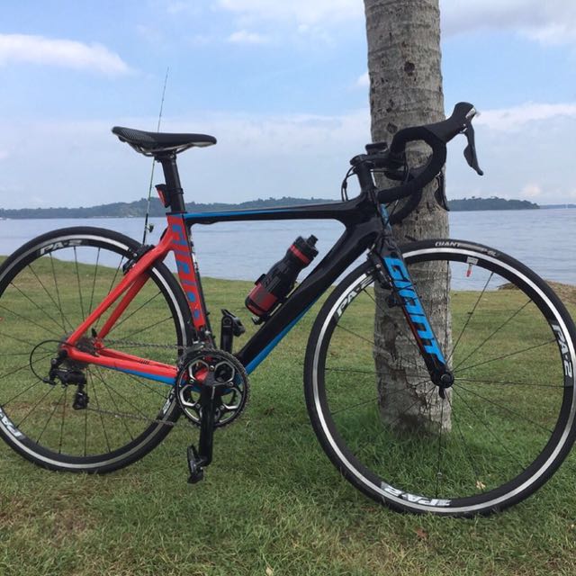 giant propel shimano 105