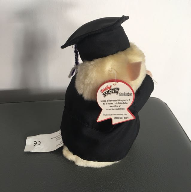 Graduation Hamster, Hobbies & Toys, Toys & Games on Carousell