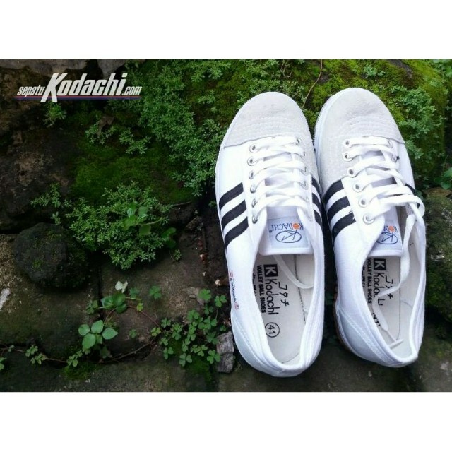 kodachi volleyball shoes