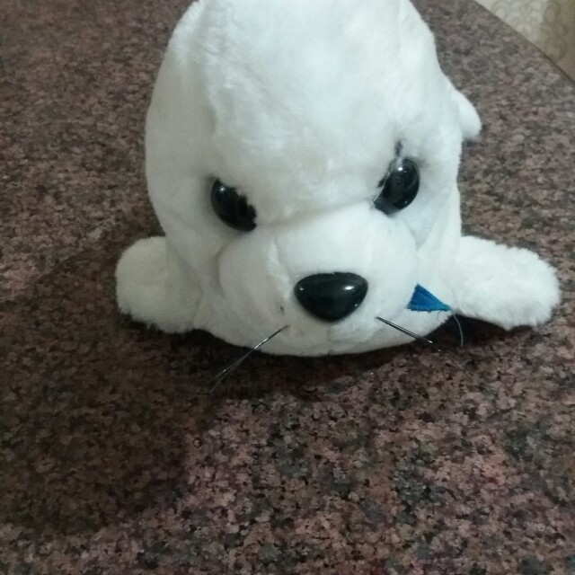 Boneka Anjing Laut Toys Collectibles Toys On Carousell